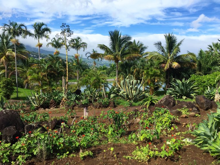 Ile de la Réunion - Notre programme d'une semaine #3 : l'Ouest